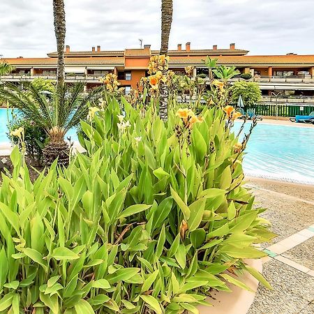 Apartmán Piscinas Del Teide Puerto de la Cruz  Exteriér fotografie